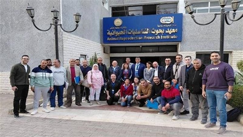 بحوث التناسليات الحيوانية