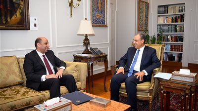 وزيرا الخارجية والعمل يبحثان تعزيز التعاون في ملف العمالة المصرية بالخارج