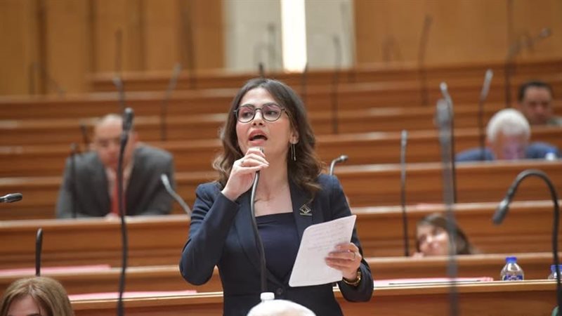 النائبة نيفين إسكندر