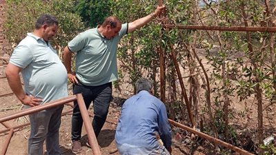 محافظ الدقهلية يشدد على إزالة مخالفات البناء بميت غمر فوراً 