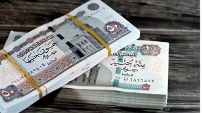 ماذا تفعل إذا لم تصلك رسالة المعاش أو تأخر صرفه؟ دليل للمستفيدين
