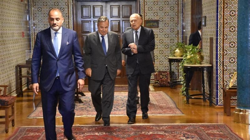  نبيل فهمي
