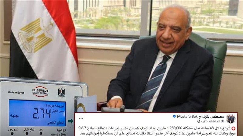 وزير الكهرباء 