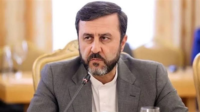 نائب وزير الخارجية الإيراني 