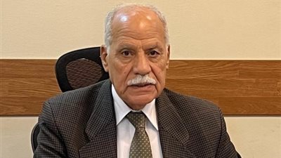 عضو بالشيوخ: «شريحة الطفل» خطوة لحماية النشء وتعزيز الأمن الرقمي