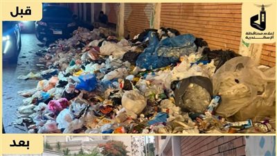استجابة عاجلة لشكاوى النظافة بالإسكندرية.. رفع المخلفات من 10 مواقع مختلفة بالمحافظة