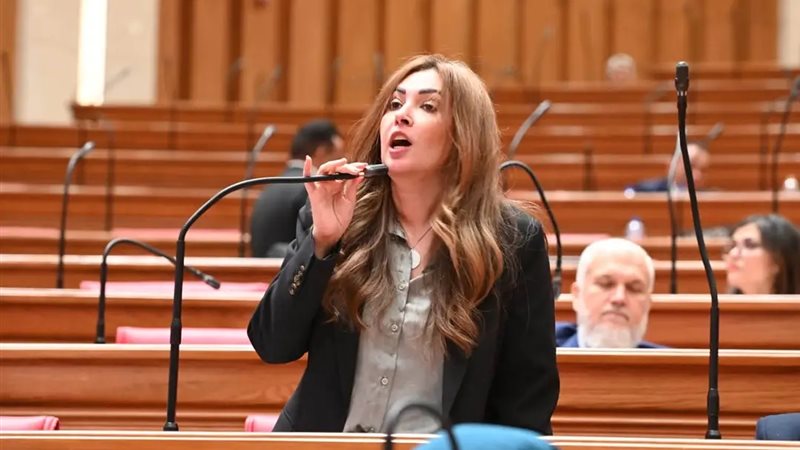 النائبة أميرة العادلي عضو مجلس النواب