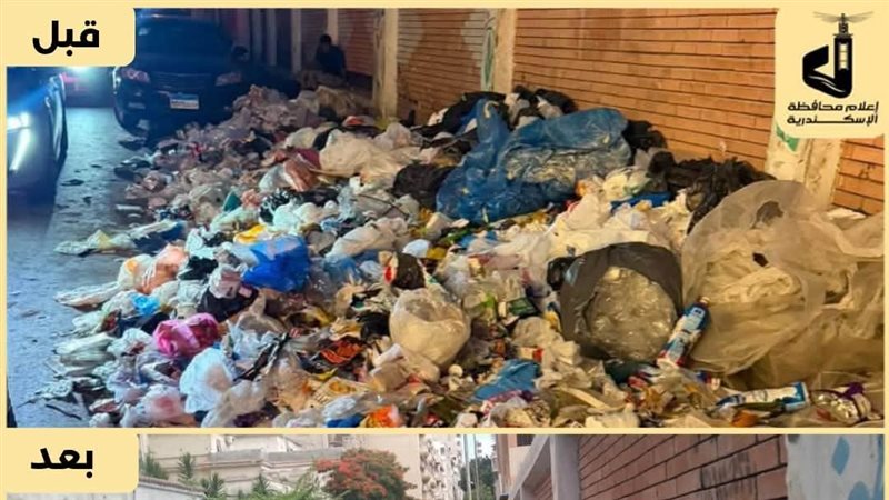 محافظة الإسكندرية