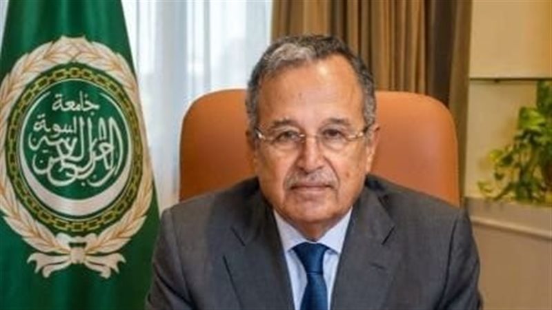 نبيل فهمي 