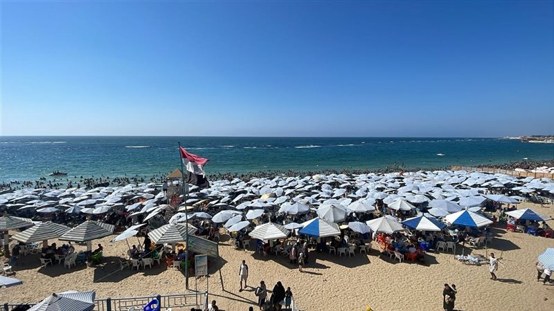 شواطئ الإسكندرية 