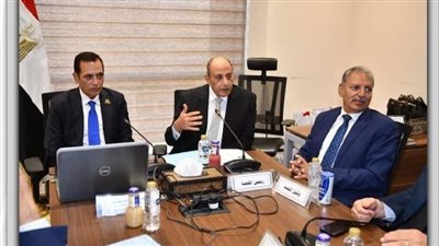«تنمية الريف المصري الجديد» تستعرض أمام البرلمان تقدم مشروعات البنية التحتية 