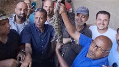 بعد تصفية المصرف.. العثور على التمساح المثير للجدل في شبرامنت