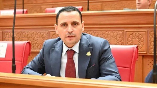 النائب إسلام التلواني