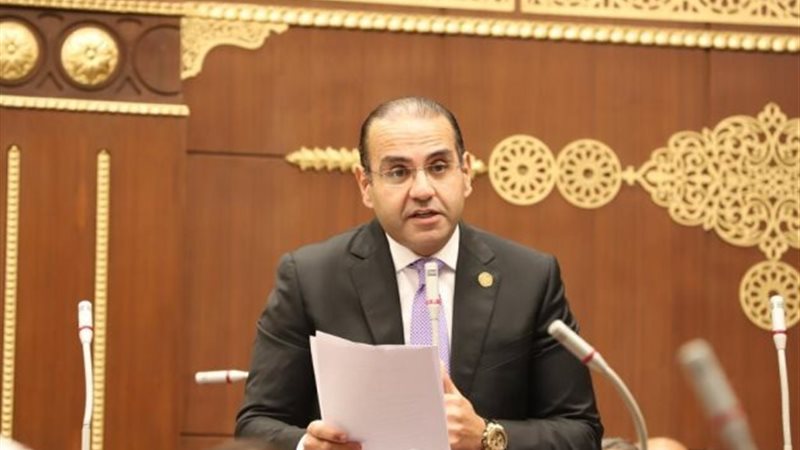 النائب محمد المنزلاوي