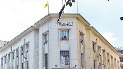 يساعد على دخول استثمارات مباشرة، ماذا قالت المؤسسات الدولية على قرار تحرير سعر صرف الجنيه؟