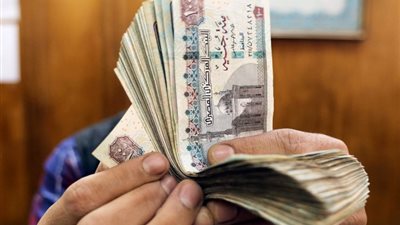 بعد قرار البنك المركزي، آراء الخبراء في ضرورة إتباع سياسات سعر الصرف المرن
