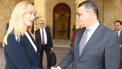 «حقوق النواب»: ما يحدث في غزة ممارسات ممنهجة للإبادة الجماعية وتطهير عرقي