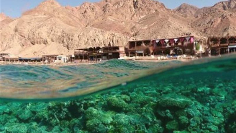محمية 
