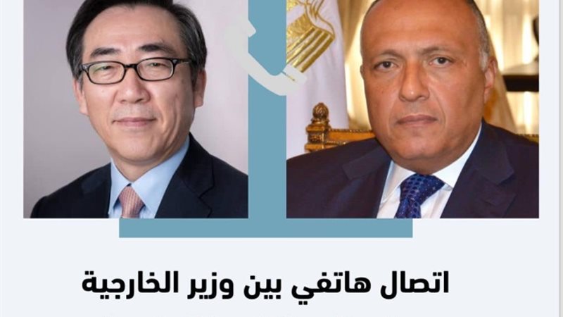 وزير الخارجية المصري ونظيره الكوري