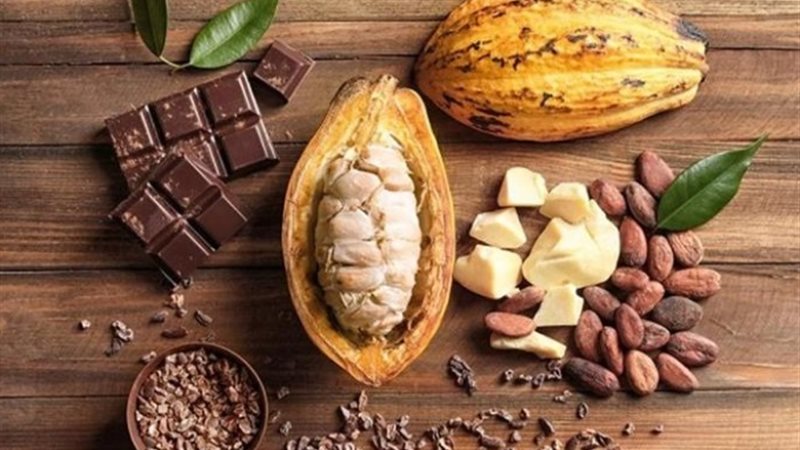 ارتفاع جنوني في أسعار الكاكاو