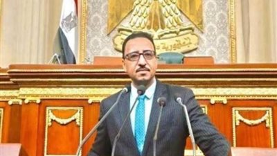 برلماني: زيارة الوفد الأوروبي لمصر تدشن مرحلة جديدة من الشراكة الاستراتيجية