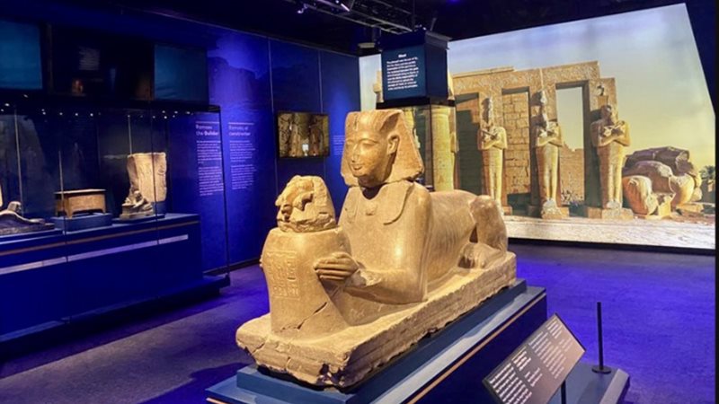 معرض «رمسيس وذهب الفراعنة»