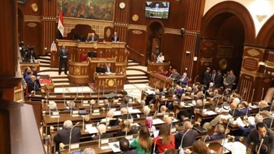 مجلس الشيوخ يناقش سياسة الحكومة في الاستفادة من الدارسين بالخارج