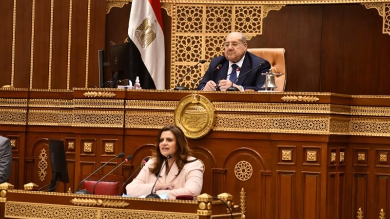 كلمة السفيرة سها جندي بمجلس الشيوخ