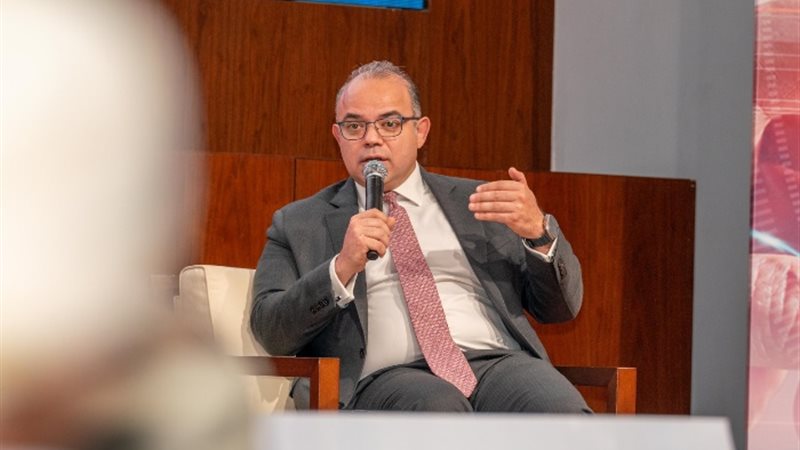 الدكتور محمد فريد رئيس الهيئة العامة للرقابة المالية