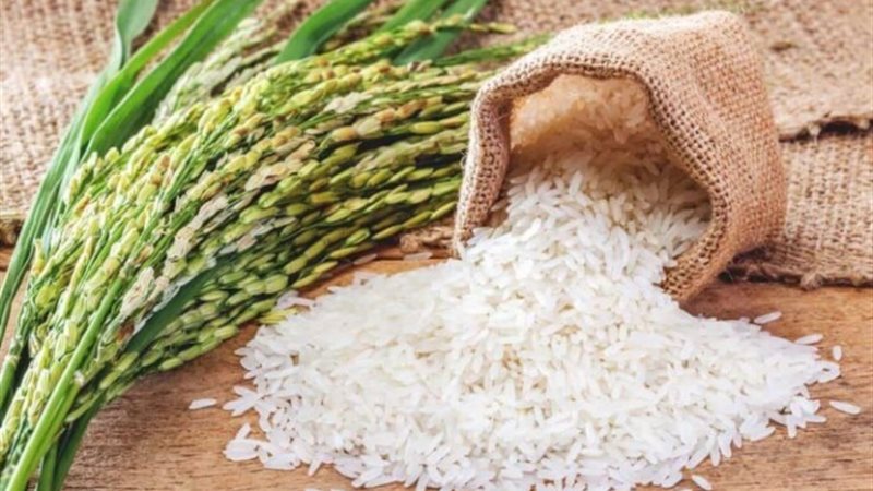 أسعار السلع