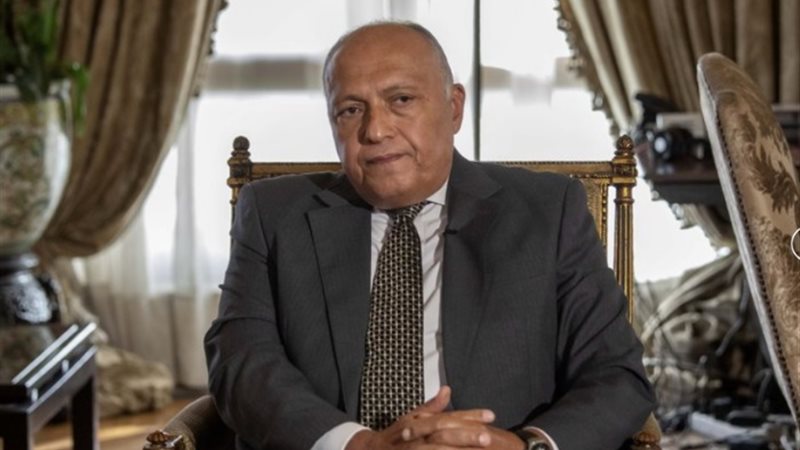 سامح شكري وزير الخارجية