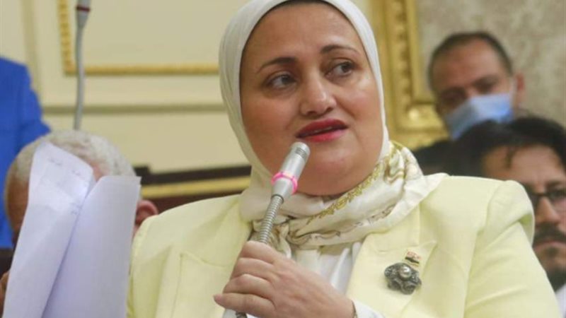 النائبة سناء السعيد