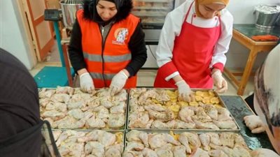 قومي المرأة ينفذ 520 وجبة في عزب النهضة بدمياط ضمن «مطبخ المصرية»