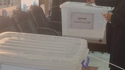 مع انطلاق التصويت في «المحامين»، تعرف على ضوابط تنظيم العملية الانتخابية