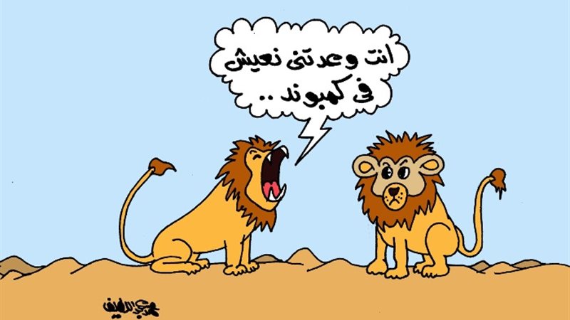كاريكاتير موقع الجمهور