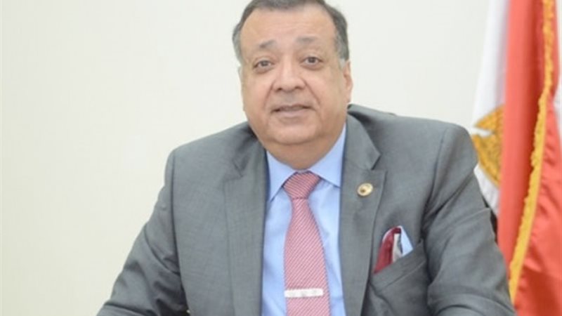 محمد سعد الدين رئيس «مستثمري الغاز»