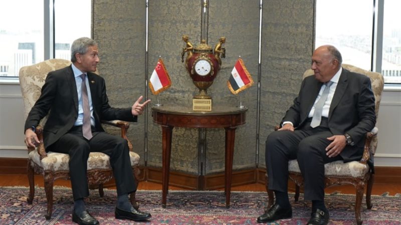 وزير الخارجية سامح شكري ووزير خارجية سنغافورة فيفيان بالاكر