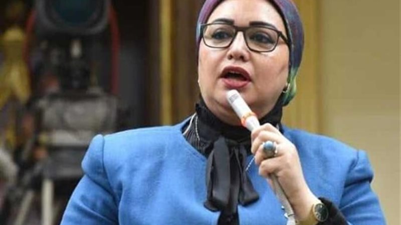 النائبة سولاف درويش