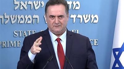 وزير خارجية الاحتلال الإسرائيلي يضرب بقرار مجلس الأمن عرض الحائط «لن نوقف القتال»