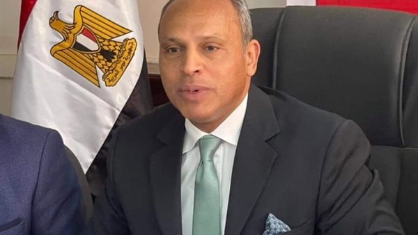 المستشار رضا صقر