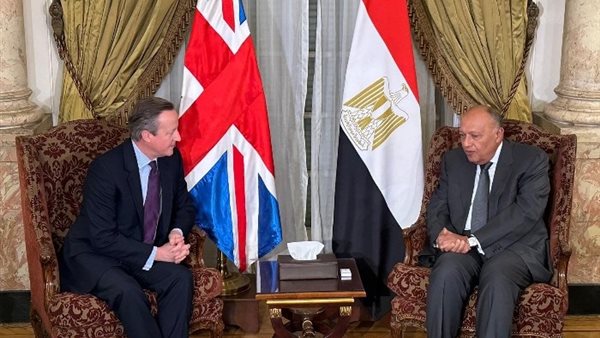 سامح شكري وديفيد