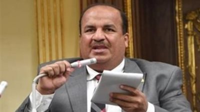 «اقتصادية النواب» تطالب الحكومة بوقف استيراد السلع الاستفزازية