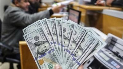 عادل فوزي: 3.15 مليار جنيه حصيلة التنازلات عن العملات الأجنبية بمصر للصرافة