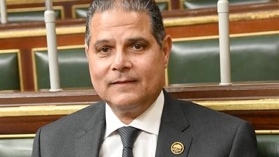 برلماني: التاريخ سيقف كثيرا أمام المشاريع القومية في عهد الرئيس السيسي