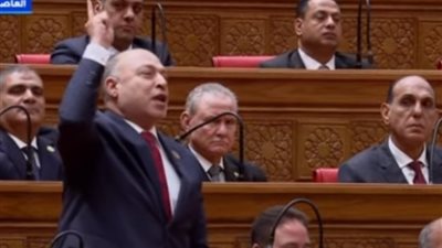 حفل تنصيب الرئيس، نائب لـ السيسي: سددك الله على طريق الحق