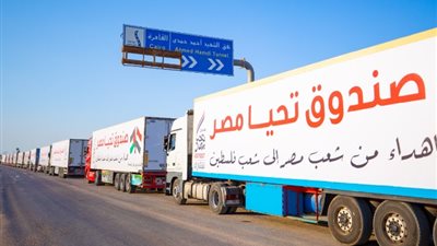 بالأرقام مساعدات مصر  لغزة منذ العدوان وحتى الأن  ( فيديو )
