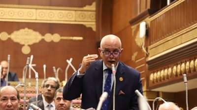 عضو بالشيوخ: كلمة السيسي في حفل إفطار الأسرة المصرية تؤكد تعزيز مسار الإصلاح