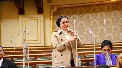 برلمانيه: كلمة الرئيس السيسي في إفطار الأسر المصرية تحمل رسائل إيجابية