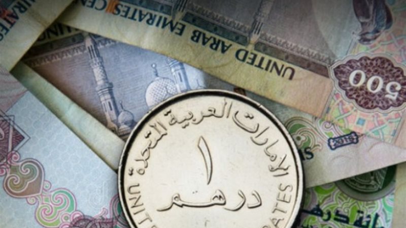 سعر الدرهم الإماراتي مقابل الجنيه المصري