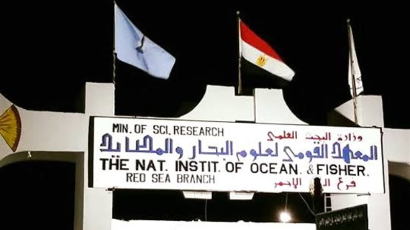 المعهد القومي لعلوم البحار